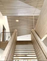 Damien FRAULOB - DAMIEN FRAULOB